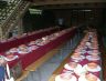 raduno2011_dinner.jpg