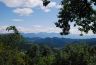raduno13_nature2.jpg